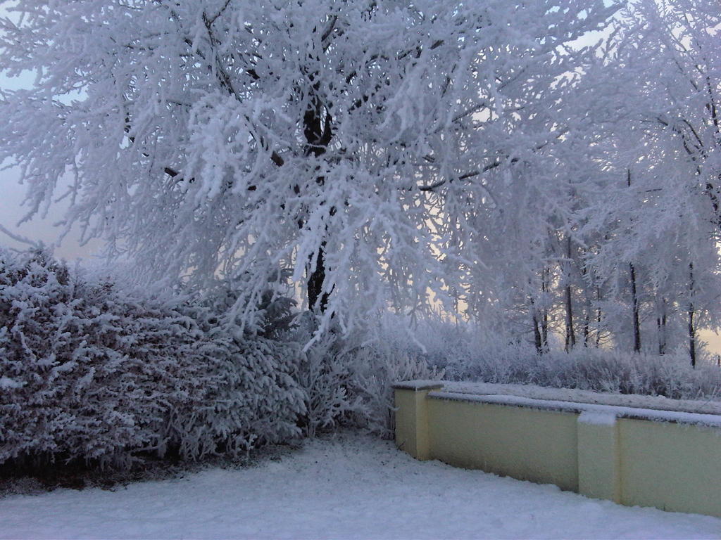 Ardarroch Cottage B&B Fassfern Buitenkant foto
